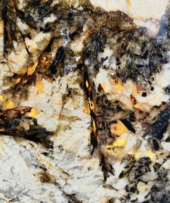 Đá Granite Vàng Bạch Dương